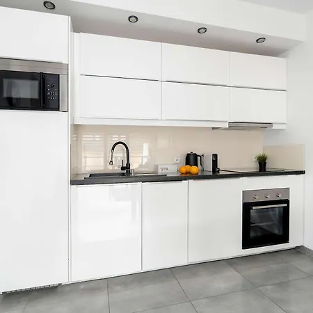 Modern Family With Parking And Balcony In The Center By Renters 아파트 포즈난